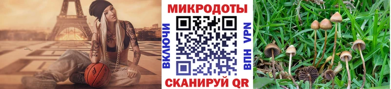 Псилоцибиновые грибы мухоморы  что такое   Лесной 